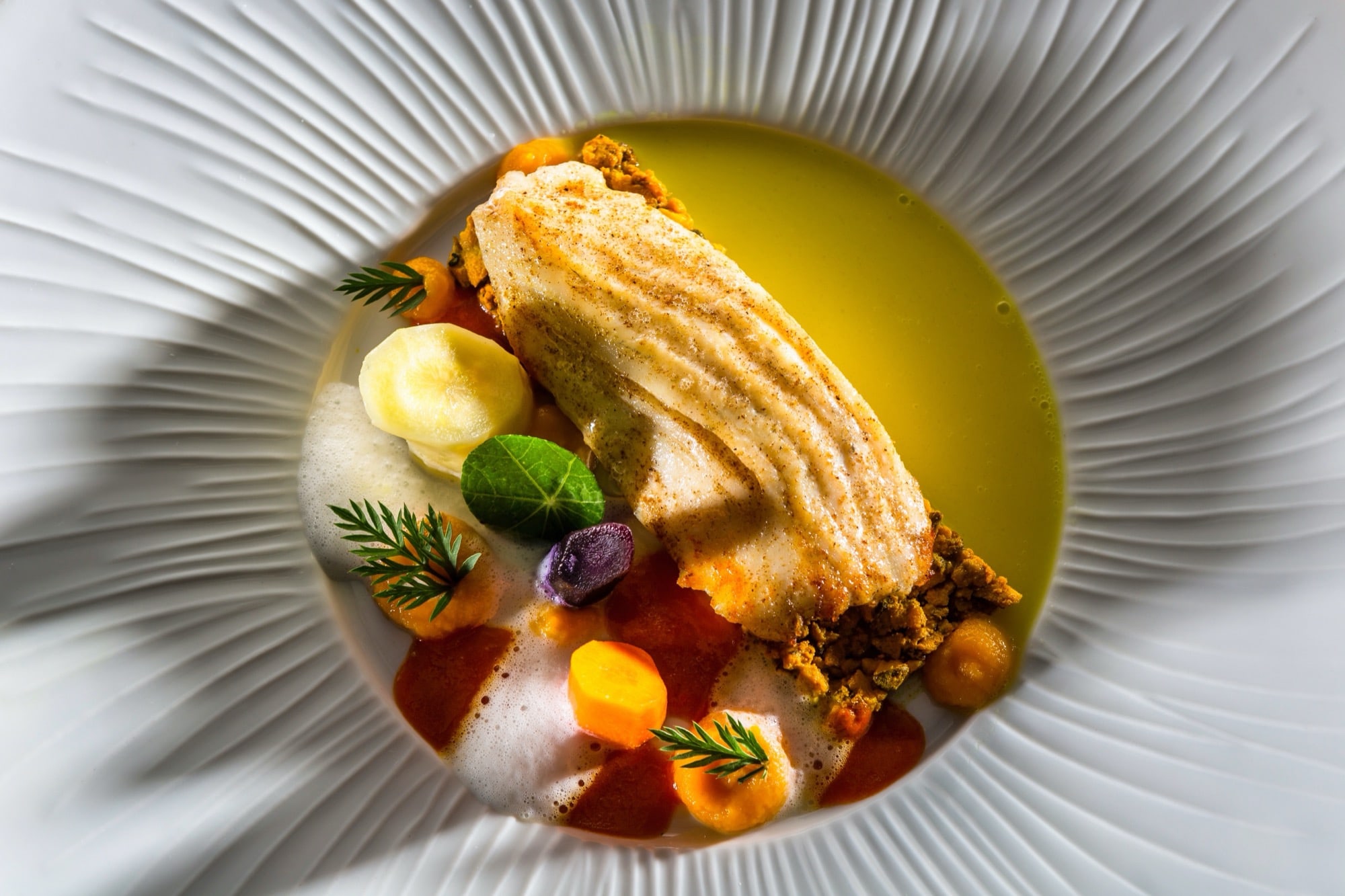 aliments dans une assiette photographiés de haut